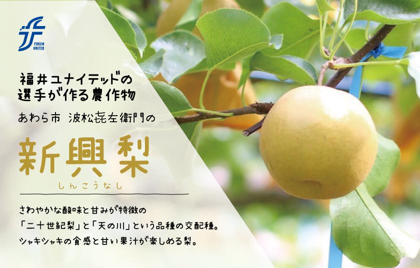 「2026福井ユナイテッドFCの梨」予約販売開始のお知らせ